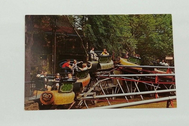 Euclid Beach Park 1950s-60s Postcard Cleveland OH The Bug Spinning Amusement