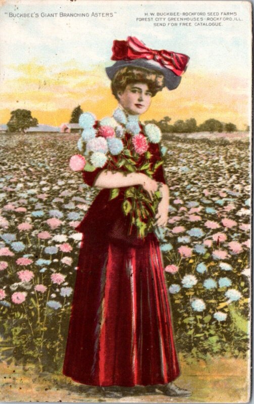 Postcard advert IL Rockford - Woman Holding Buckbee's Giant Branching Asters