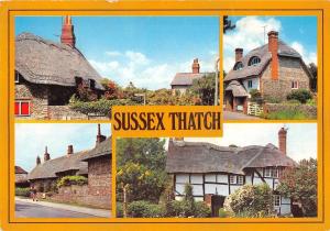 BR89825 sussex thatch  uk