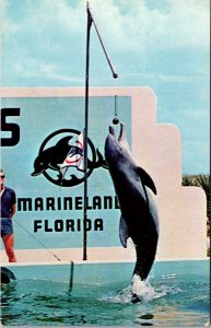 Florida Marineland Marine Studios Porpoise Raising The Flag