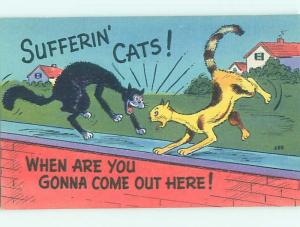 Linen comic PAIR OF CATS FIGHTING ON THE WALL HL3482@