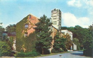 Lynchburg Tennessee TN Jack Daniel's Hollow Chrome Postcard Unused
