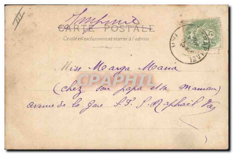 Old Postcard Dog Dogs