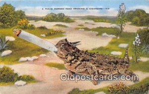 Texas Horned Toad Smoking Smoking Unused 