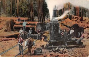 Humbolt California Logging Redwoods Steam Engine Vintage Postcard JF235024