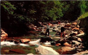 View of Little Pigeon River East of Gatlinburg TN c1957 Vintage Postcard J62