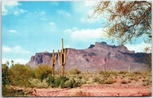 VINTAGE POSTCARD PANORAMIC VIEW OF SUPERSTITION MOUNTAIN PHOENIX ARIZONA SEXTON