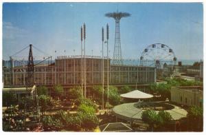 Coney Island Steeplechase Park NYC Postcard 1950s by Mike Roberts Enco