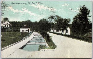 1916 Fish Hatchery Saint Paul Minnesota MN Lined-Trees View Posted Postcard