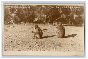 c1920's Gibraltar Rock Apes Monkey USS Pittsburgh RPPC Photo Vintage Postcard 