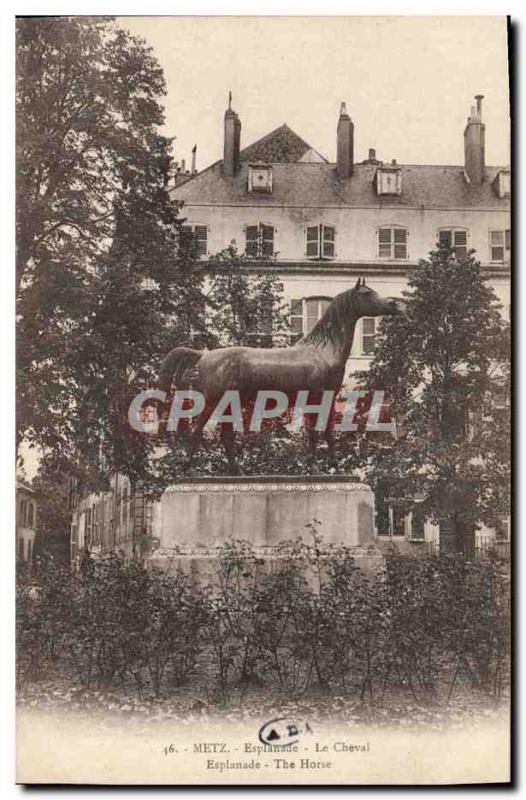 Vintage Postcard Horse Equestrian sports Horsemanship Metz E