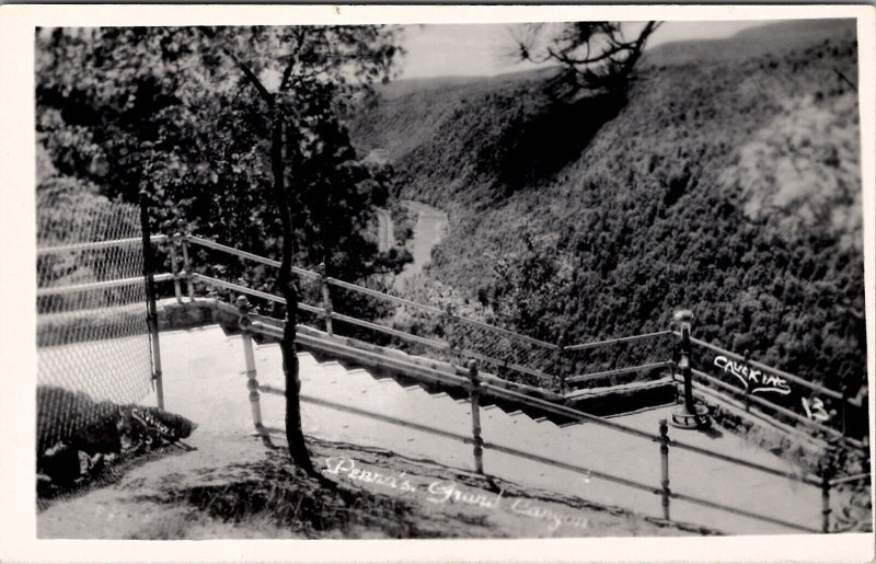 Penna's Grand Canyon Caulkins Photo Pennsylvania RPPC Postcard Y18