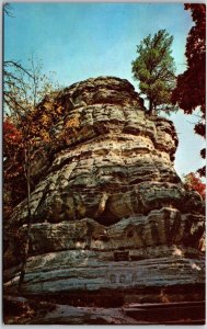 Illinois ILL, Starved Rocks State Park, along River Near Utica, Vintage Postcard