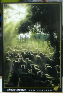 New Zealand Sheep Muster - posted 2004