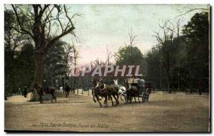 Old Postcard Paris Bois de Boulogne Avenue des Acacias