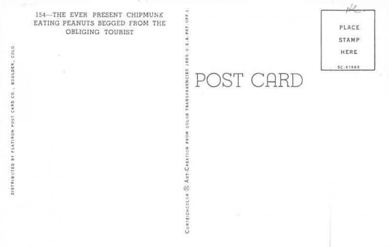 Eating Peanuts Squirrel Chipmunk Unused 