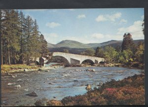 Scotland Postcard - Old Bridge of Dee, Invercauld, Aberdeenshire    T735