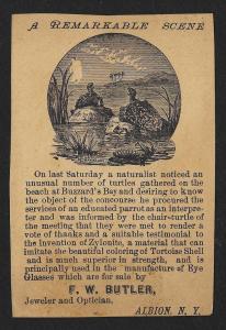 VICTORIAN TRADE CARD Zylonite Eye Glasses Couple Harvesting