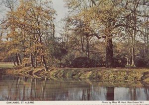 Oaklands St Albans Woods Forest Herts Hertfordshire Womens Institute Postcard