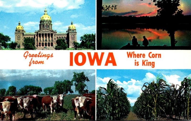 Greetings From Iowa Where Corn Is King