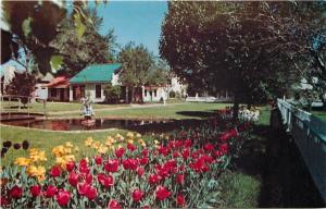 Pella Iowa~Historical Village~Mill Pond~Tulip Beds~1950s Postcard