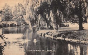 Millburn New Jersey View of Park Scenic View Vintage Postcard AA71998