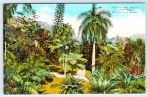 GREETINGS FROM JAMAICA~CASTLETON GARDENS-NEAR KINGSTON~ANTIQUE POSTCARD