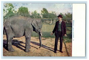 c1910's Lincoln Park Elephant Scene Chicago Illinois IL Antique Postcard