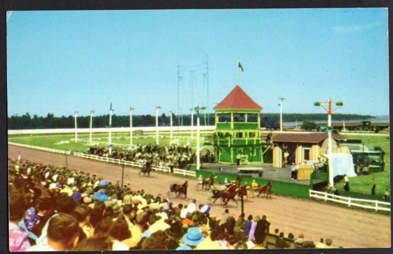 PEI CHARLOTTETOWN Driving Park Track during Old Home Week Horses step high