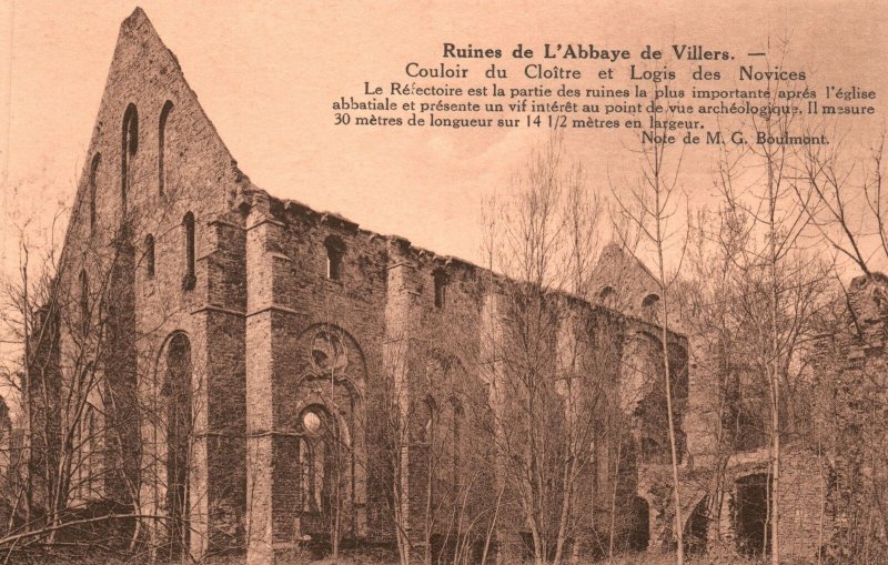 Vintage Postcard 1910's Ruines de L'Abbaye de Villers Couloir du Cloitre Belgium