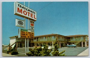 Roadside~Morro Bay CA~Tradewinds Motel~Sign~Car Parking Area~1950s Postcard