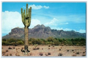 c1960 Superstition Mt. Apache Junction US Mesa Arizona Vintage Antique Postcard