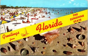 Greetings Banner Florida Sunshine State Multi View Ocean Beach Chrome Postcard 