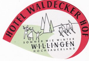 Germany Willingen Hotel Waldecker Hof Vintage Luggage Label sk2354