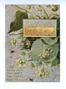 172742 SUMMER Bee by ENDAUROVA vintage Russian RARE PC