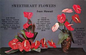 Honolulu Hawaii advertisement on back Rainbow Flowers vintage pc Z46102