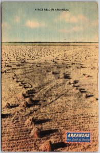 Arkansas AR, Sunny Day, A Rice Field, Typical Day Rice Harvesting, Postcard