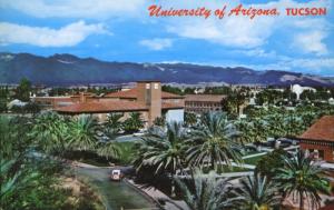 University Of Arizona Campus UA Tucson AZ Arizona Wildcats Vintage Postcard E3