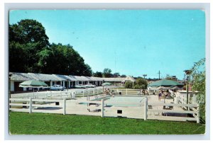 Vintage New London Motel Postcard P135E