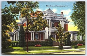 Elks Home Bloomsburg Pennsylvania PA Grounds And Trees View Landmark Postcard