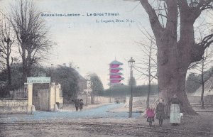 Bruxelles Laeken Le Gros Tilleul Antique Postcard