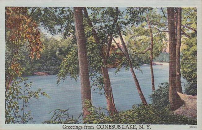 New York Greetings From Conesus Lake 1950