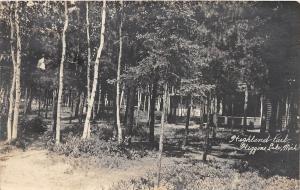 C95/ Roscommon Higgins Lake Michigan Mi RPPC Postcard c1910 Highland Park Cabins