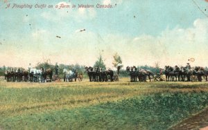 Vintage Postcard 1910's A Ploughing Outfit On A Farm In Western Canada