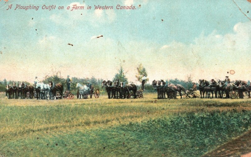 Vintage Postcard 1910's A Ploughing Outfit On A Farm In Western Canada