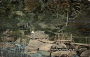 Dumping Pond - Mianus CT c1910 Postcard