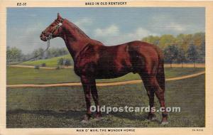 Man O War, The Wonder Horse KY , USA Horse Racing Unused 