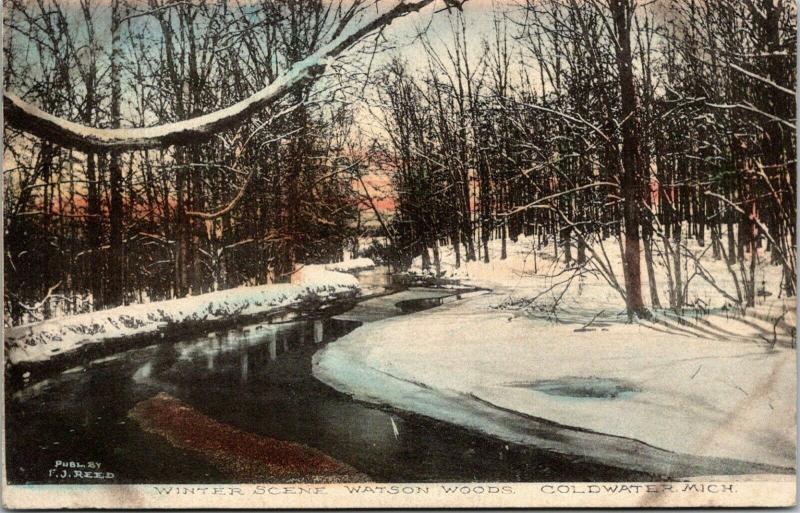 Coldwater Michigan~Watson Woods~Snowbanks on Creek~1908 Handcolored Postcard 