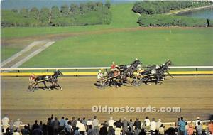  Inglewood, California, CA, USA Horse Racing Postcard Western Harness Racing,...