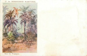 Africa in the tropics 1900`s postcard  Cie des Messageries Maritimes 